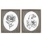 Stupell Industries Elegant Flower Spig Vignettes 2pc Floating Frame Set By Lettered and Lined